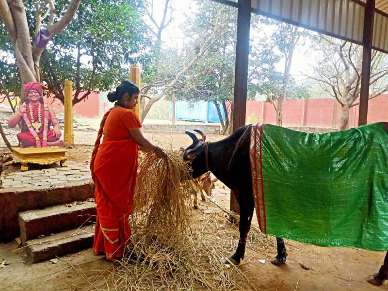 File:2022-01-23 at 5.58.57 PM (2) 11.jpg