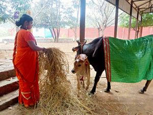 2022-01-23 at 5.58.57 PM 11.jpg