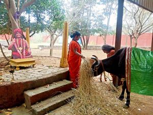 2022-01-23 at 5.58.58 PM 11.jpg