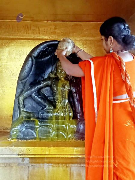 File:2022-01-23 at 5.59.36 PM 11.jpg