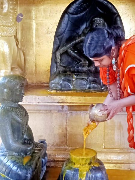 File:2022-01-23 at 5.59.37 PM (1) 11.jpg