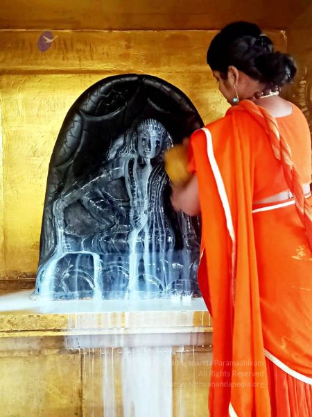 File:2022-01-23 at 5.59.38 PM (2) 11.jpg