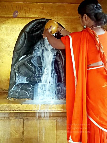 File:2022-01-23 at 5.59.38 PM 11.jpg