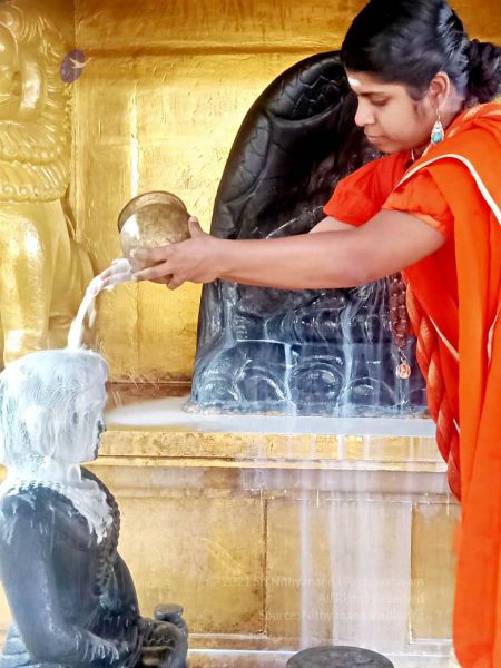 File:2022-01-23 at 5.59.39 PM 11.jpg