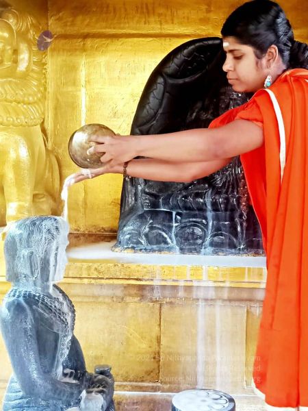 File:2022-01-23 at 5.59.40 PM 11.jpg