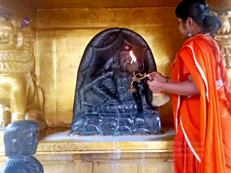 File:2022-01-23 at 5.59.41 PM 11.jpg