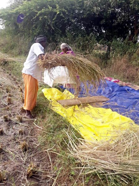 File:2022-01-23 at 7.48.08 PM 11.jpg