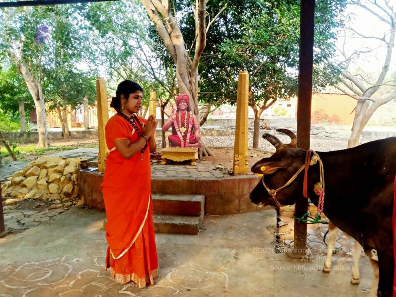 File:2022-01-24 at 9.35.38 PM 11.jpg