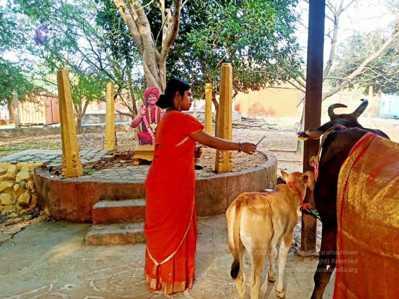 File:2022-01-24 at 9.35.40 PM (1) 11.jpg