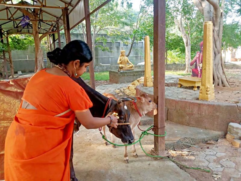 File:2022-01-24 at 9.35.42 PM (1) 11.jpg