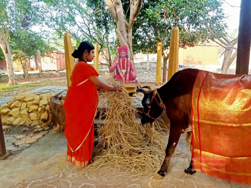 File:2022-01-24 at 9.35.42 PM (2) 11.jpg