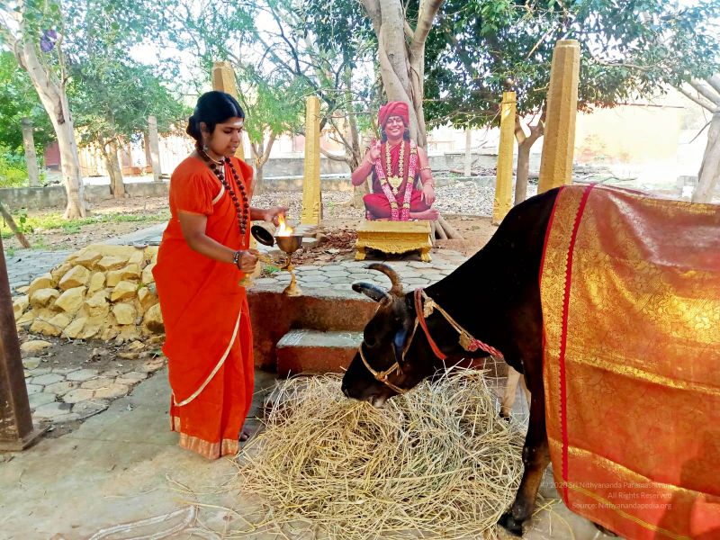 File:2022-01-24 at 9.35.43 PM (1) 11.jpg