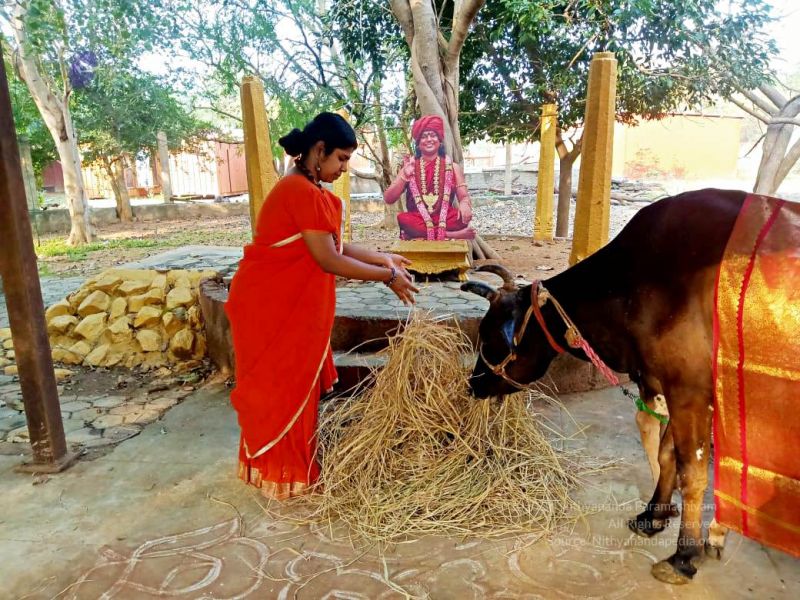 File:2022-01-24 at 9.35.43 PM 11.jpg