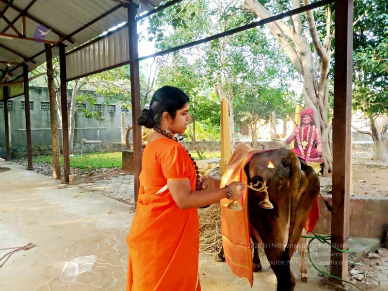 File:2022-01-24 at 9.35.44 PM (2) 11.jpg