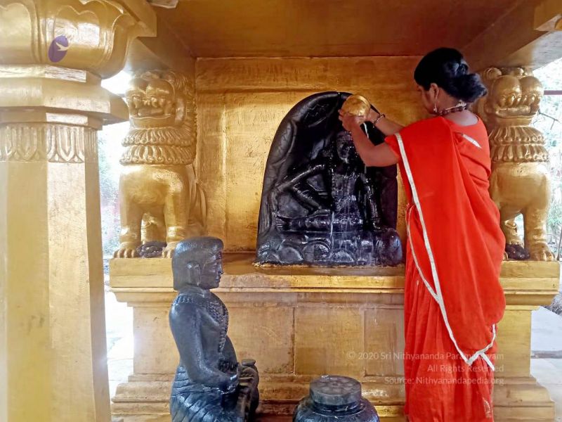 File:2022-01-24 at 9.36.22 PM 11.jpg