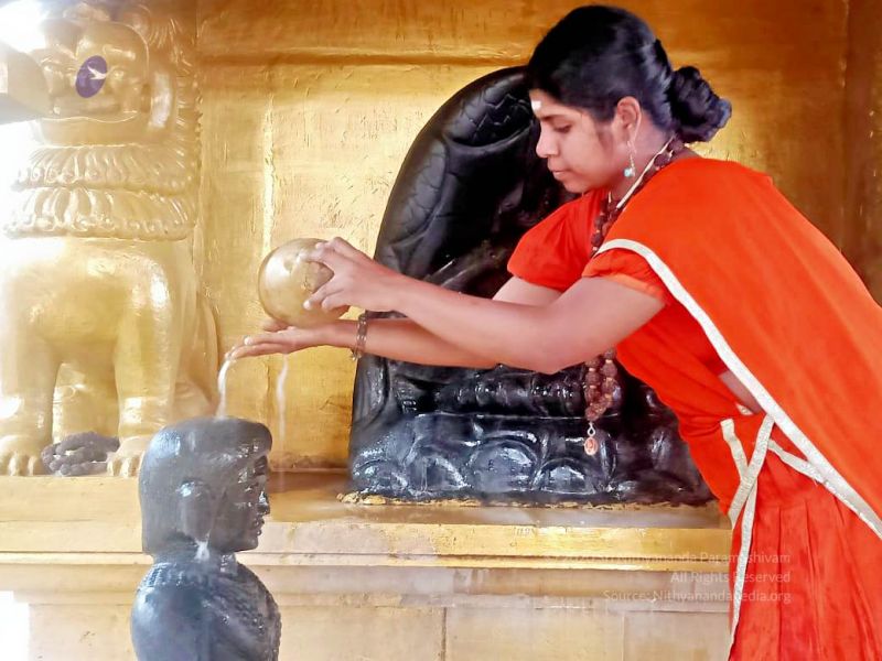 File:2022-01-24 at 9.36.23 PM 11.jpg