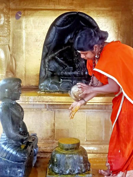 File:2022-01-24 at 9.36.24 PM (1) 11.jpg