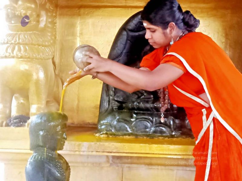 File:2022-01-24 at 9.36.24 PM 11.jpg