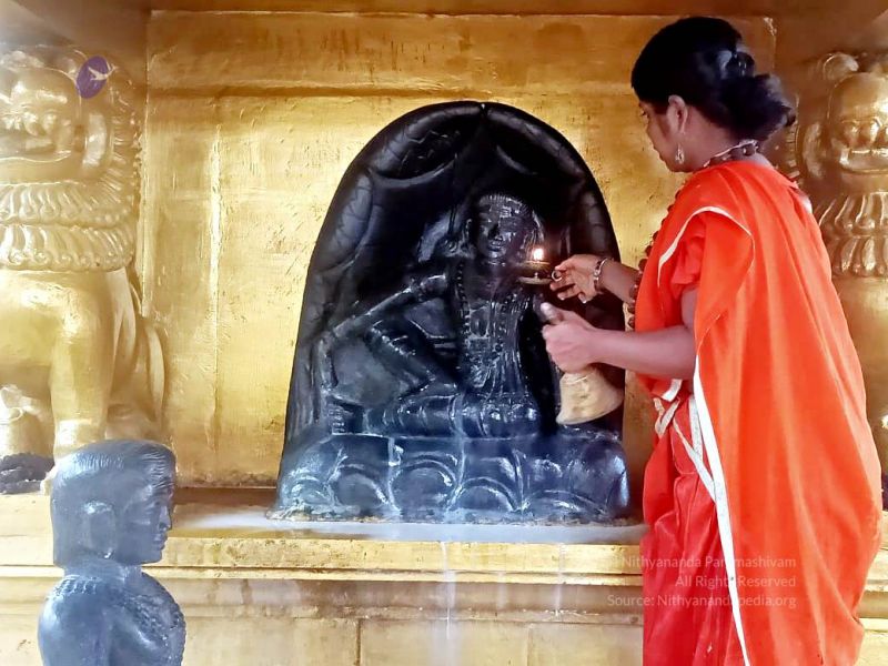 File:2022-01-24 at 9.36.28 PM (1) 11.jpg