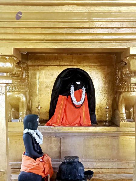 File:2022-01-24 at 9.36.52 PM (1) 11.jpg