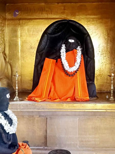 File:2022-01-24 at 9.36.52 PM (2) 11.jpg