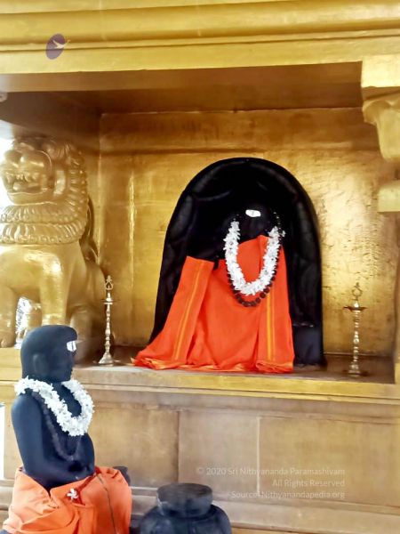 File:2022-01-24 at 9.36.53 PM (1) 11.jpg