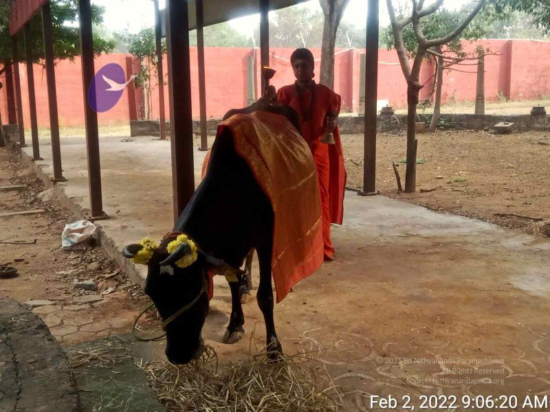 File:2022-02-02 at 9.30.36 PM.jpg