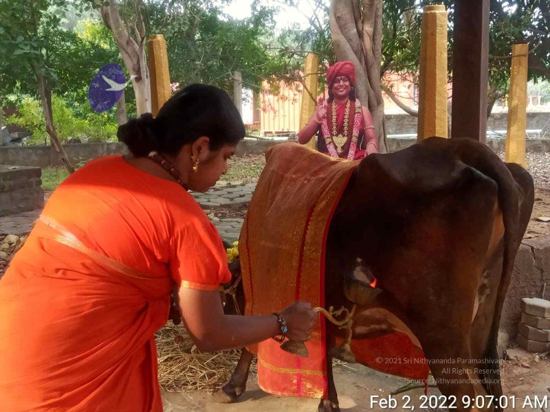 File:2022-02-02 at 9.31.04 PM.jpg