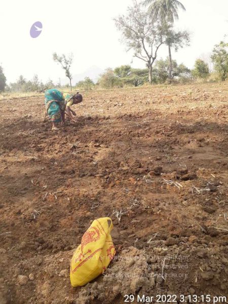 File:2022-03-29 at 8.37.27 PM (1).jpg