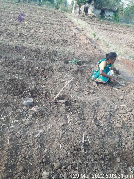 File:2022-03-29 at 8.37.27 PM (2).jpg