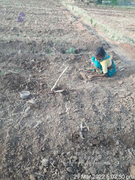 File:2022-03-29 at 8.37.28 PM.jpg