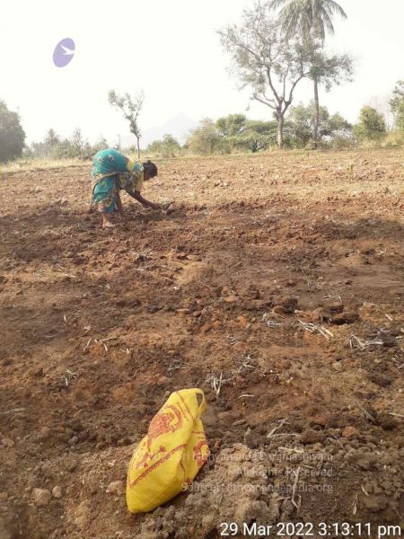 File:2022-03-29 at 8.37.28 PM (1).jpg