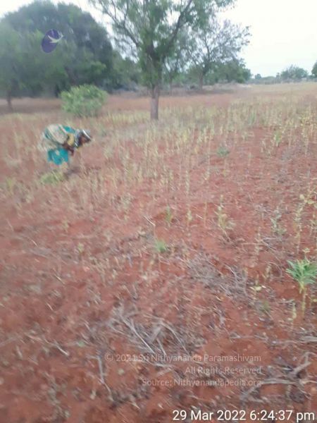 File:2022-03-29 at 8.37.29 PM.jpg