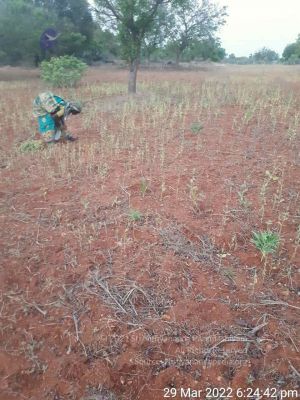 2022-03-29 at 8.37.29 PM (1).jpg