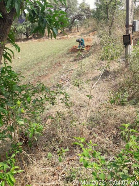 File:2022-03-29 at 8.37.29 PM (2).jpg