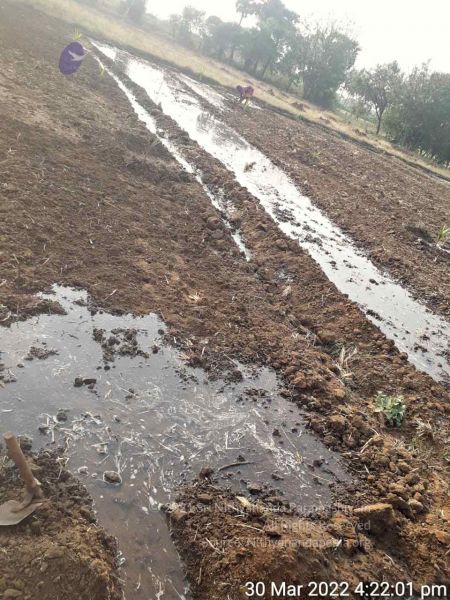 File:2022-03-30 at 10.44.50 PM.jpg