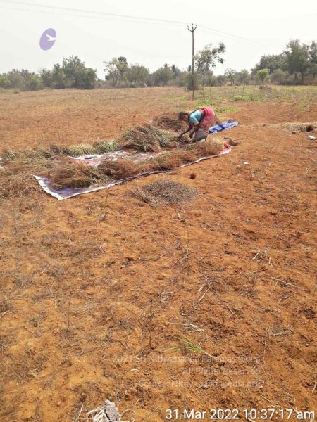 File:2022-03-31 at 10.32.39 PM.jpg