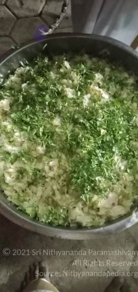 File:2022-04-16 at 12.52.11 AM (2).jpg