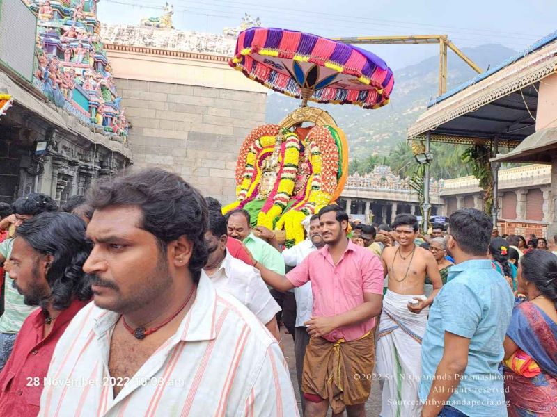 File:2022-11-28 at 11.14.21 AM.jpg