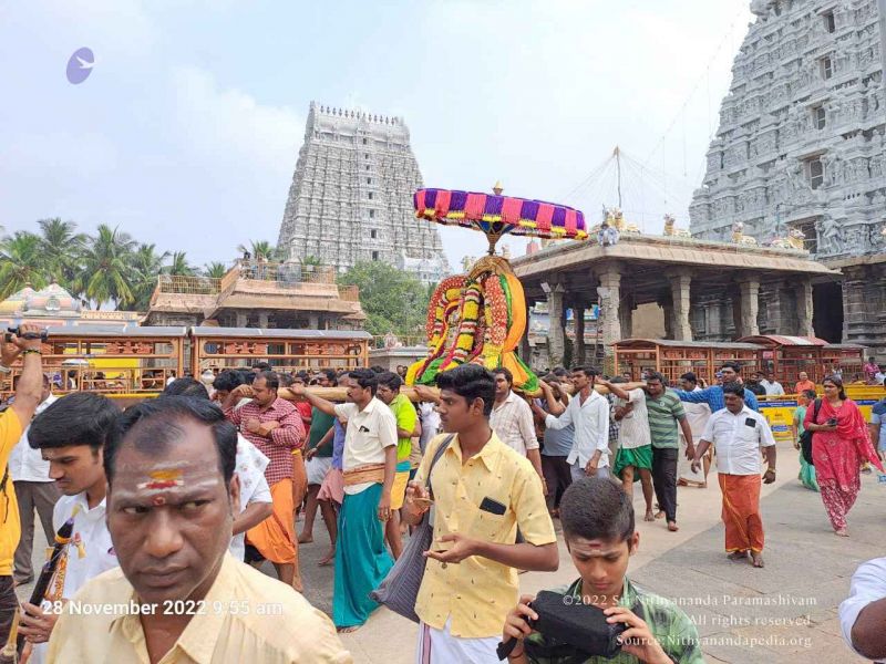 File:2022-11-28 at 11.14.24 AM.jpg