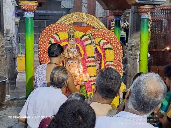 2022-11-28 at 11.14.25 AM (1).jpg