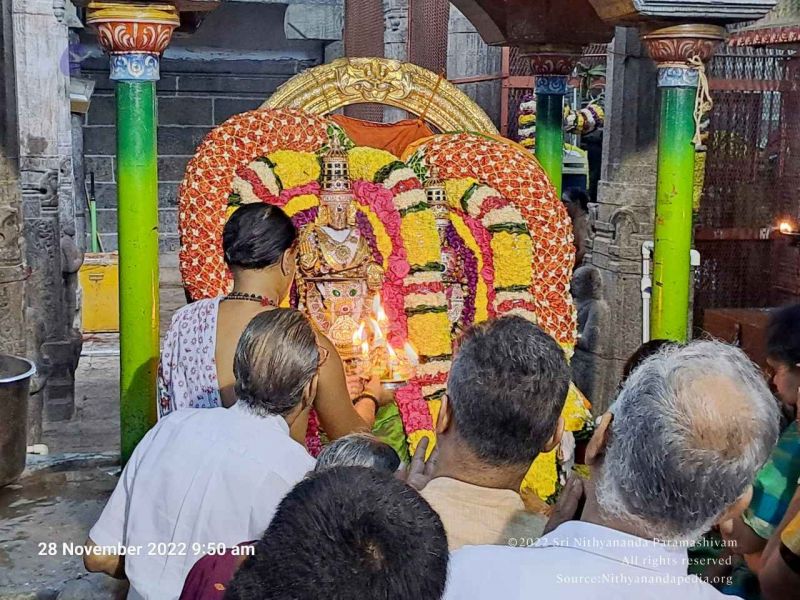 File:2022-11-28 at 11.14.25 AM (1).jpg