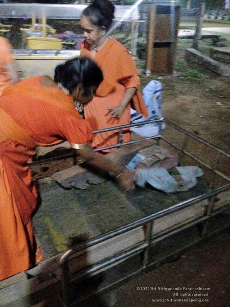 File:2022-11-29 at 5.20.59 PM.jpg