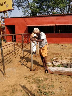 2022-11-30 at 7 32 AM.jpg