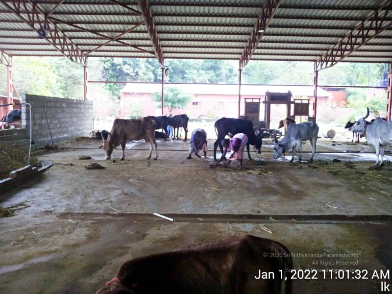 File:20220101 110132 11.jpg