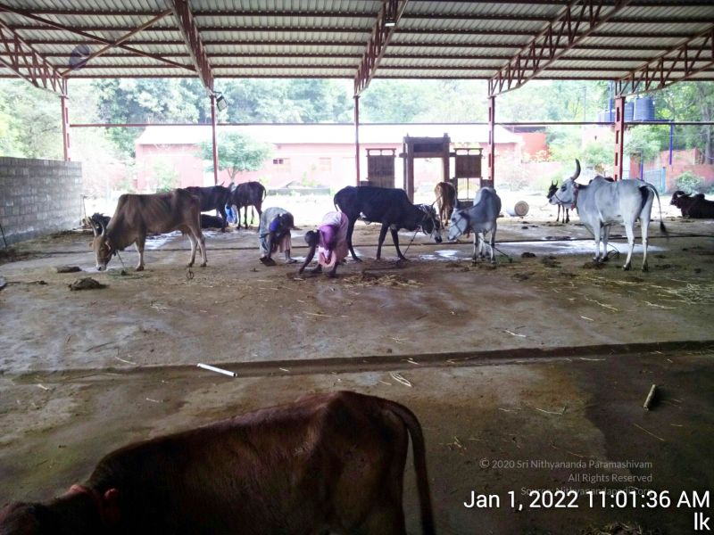 File:20220101 110136 11.jpg