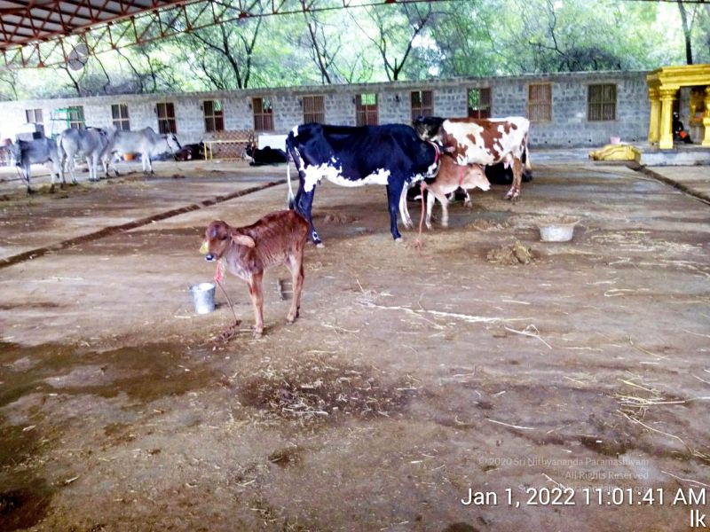 File:20220101 110141 11.jpg