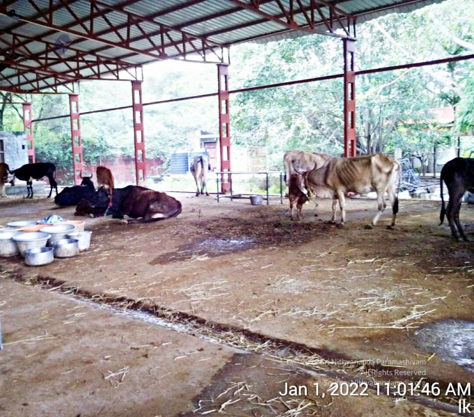 File:20220101 110146 11 11.jpg