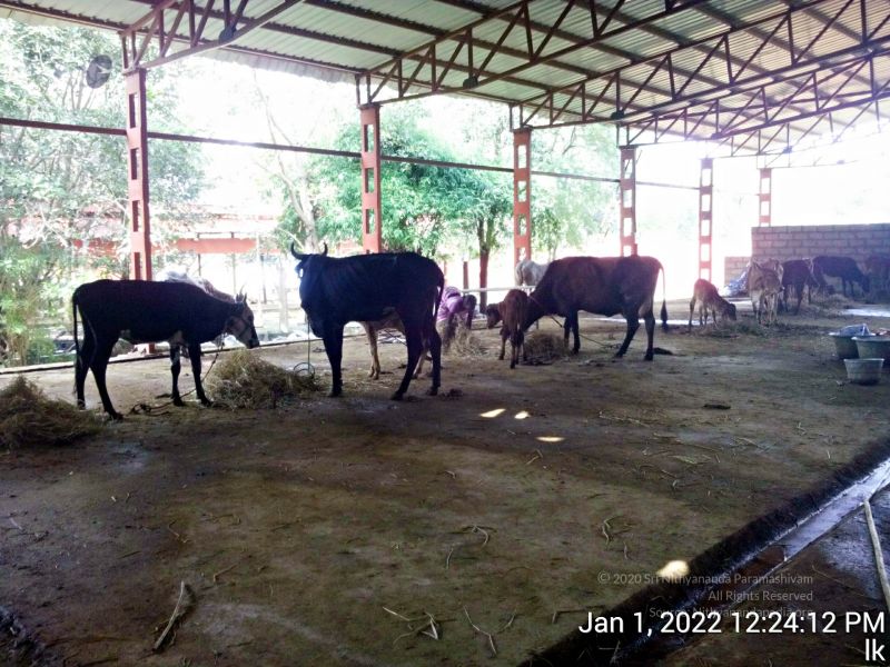 File:20220101 122412 11.jpg