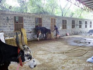 20220101 122513 11.jpg